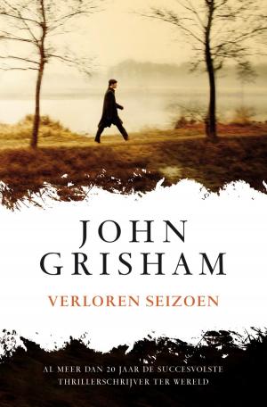 Cover of the book Verloren seizoen by Terry Hayes