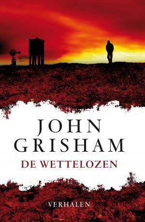 Cover of the book De wettelozen by Jobien Berkouwer