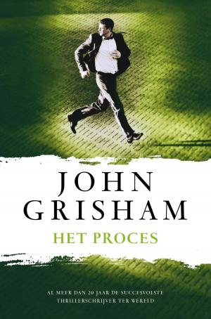 Cover of the book Het proces by Emile Verhaeren