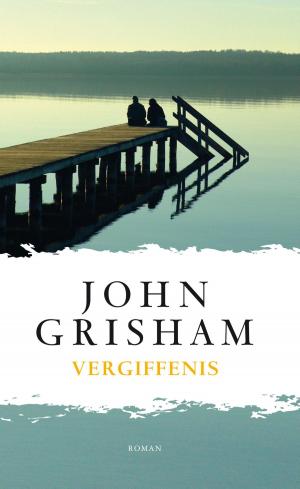 Cover of the book Vergiffenis by alex trostanetskiy