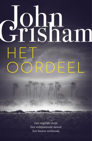 Cover of the book Het oordeel by Marcel van Roosmalen