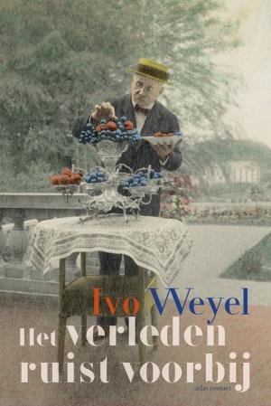 Cover of the book Het verleden ruist voorbij by Pieter Steinz, Bertram Mourits
