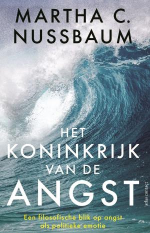 Cover of the book Het koninkrijk van de angst by Patrick Lencioni