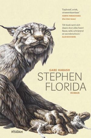 Cover of the book Stephen Florida by Ellen Rutten, Nina Targan Mouravi, Yegor Osipov-Gipsh, Lennard van Uffelen, Thaila Verkade