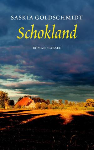 Cover of the book Schokland by Vrouwkje Tuinman