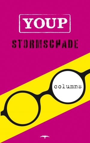 Cover of the book Stormschade by Thomas Heerma van Voss