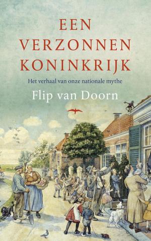 Cover of the book Een verzonnen koninkrijk by Anne Enright