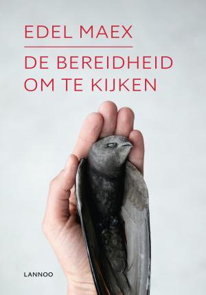 Cover of the book De bereidheid om te kijken by Joe Rutland