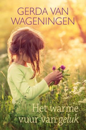 Cover of the book Het warme vuur van geluk by Susan Rodgers