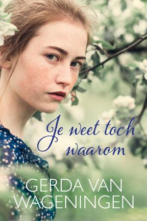 Cover of the book Je weet toch waarom by Beate Matznetter
