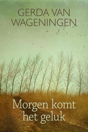 Cover of the book Morgen komt het geluk by John Green, Maureen Johnson, Lauren Myracle