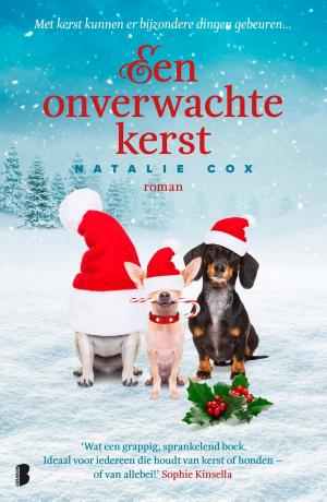 Cover of the book Een onverwachte kerst by Hubert Lampo