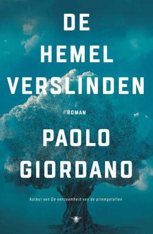 Cover of the book De hemel verslinden by Jan Siebelink