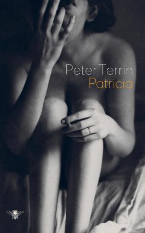 Cover of the book Patricia by Lars Kepler