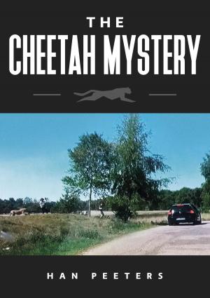 Cover of the book The Cheetah mystery by Jess Jordan