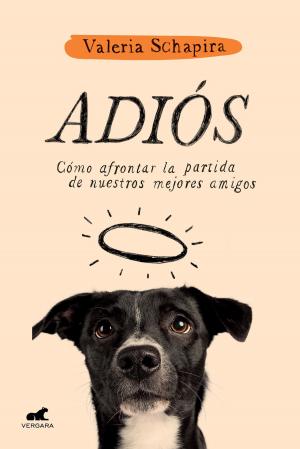 Cover of Adiós