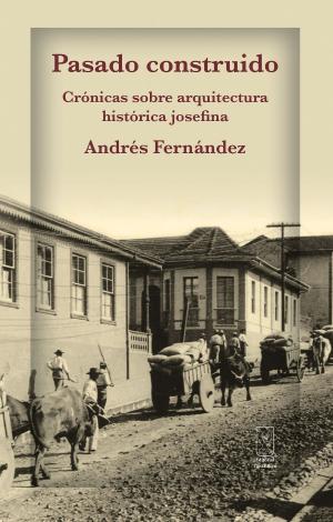 Cover of the book Pasado construido by Julián Marchena