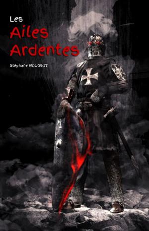 Cover of the book LES AILES ARDENTES by Romain Rolland