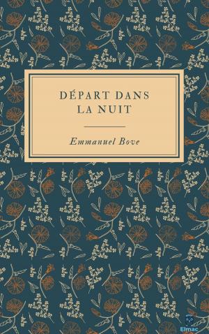 Cover of the book DÉPART DANS LA NUIT by Lhattie HANIEL