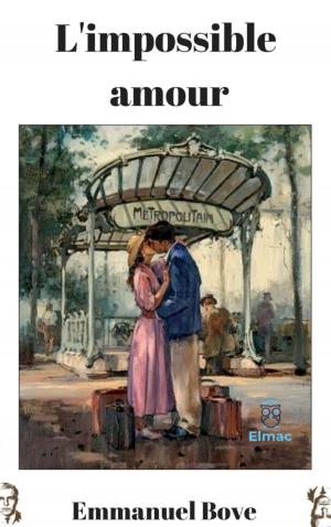 Book cover of L'impossible amour
