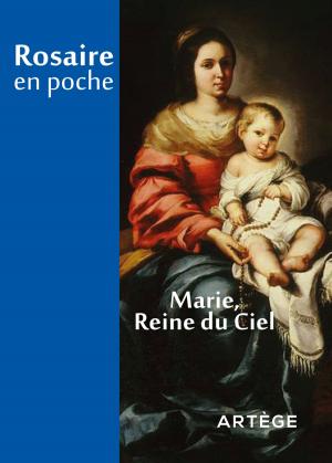 Cover of the book Rosaire en poche by Nicolas Blanc