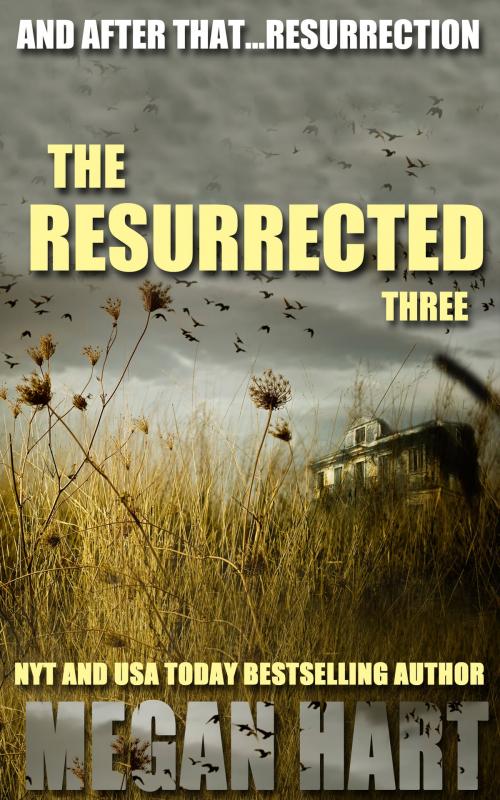 Cover of the book The Resurrected Three by Megan Hart, Chaos Publishing