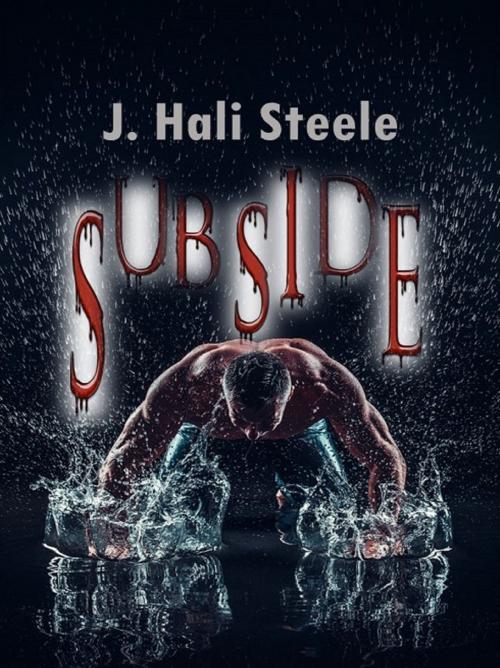 Cover of the book Subside by J. Hali Steele, Halicats Publication