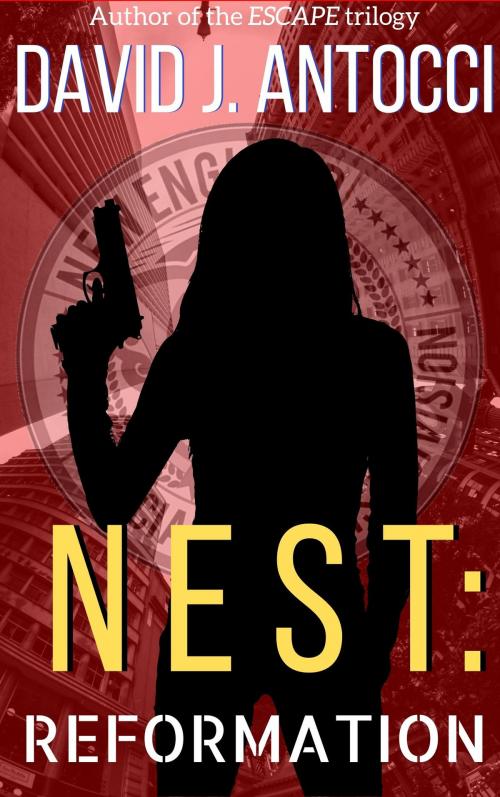 Cover of the book NEST: Reformation by David J Antocci, David J Antocci