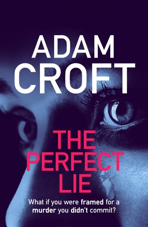 Cover of the book The Perfect Lie by Adam Croft, Circlehouse