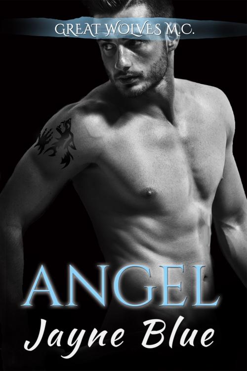 Cover of the book Angel by Jayne Blue, Nokay Press LLC