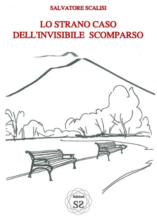 Cover of the book Lo strano caso dell'invisibile scomparso by Salvatore Scalisi, Salvatore Scalisi