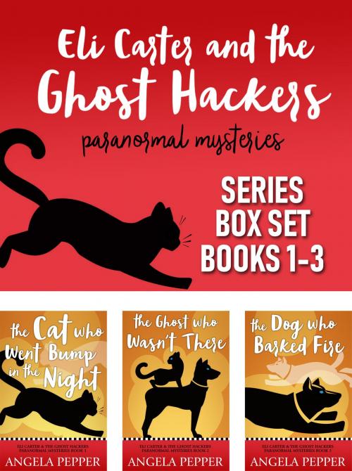 Cover of the book Eli Carter and the Ghost Hackers - Series Box Set Books 1-3 by Angela Pepper, Angela Pepper Publishing