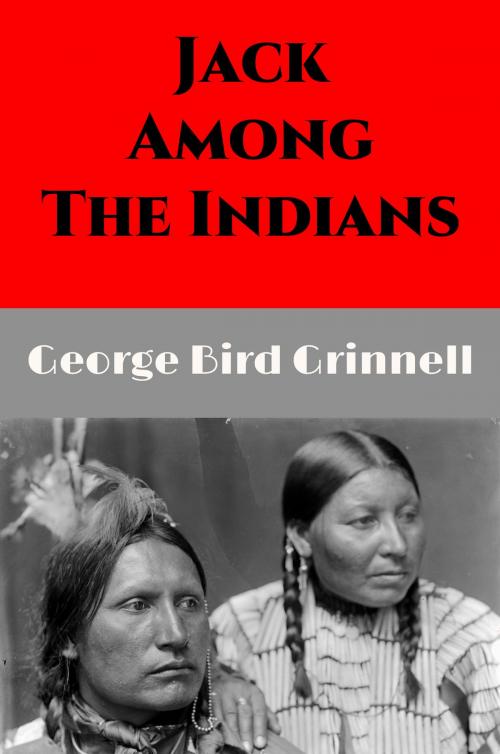 Cover of the book Jack Among the Indians (Illustrated) by George Bird Grinnell, Edwin Willard Deming, Illustrator, Steve Gabany