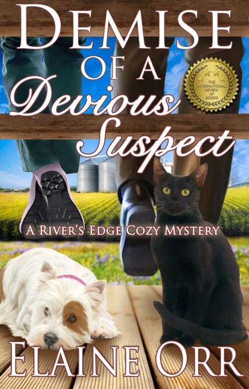 Cover of the book Demise of a Devious Suspect by Elaine Orr, Annie Acorn Publishing LLC