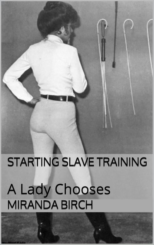 Cover of the book Starting Slave Training by Miranda Birch, Birch Books