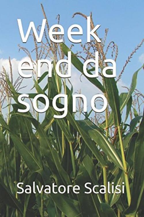Cover of the book Week end da sogno by Salvatore Scalisi, Salvatore Scalisi