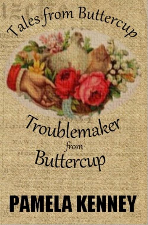 Cover of the book Troublemaker from Buttercup by Pamela Kenney, Pamela Kenney