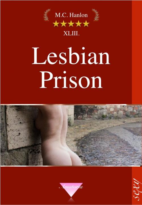 Cover of the book Lesbian Prison by Marcus C. Hanlon, Ars Amatoria Publishing