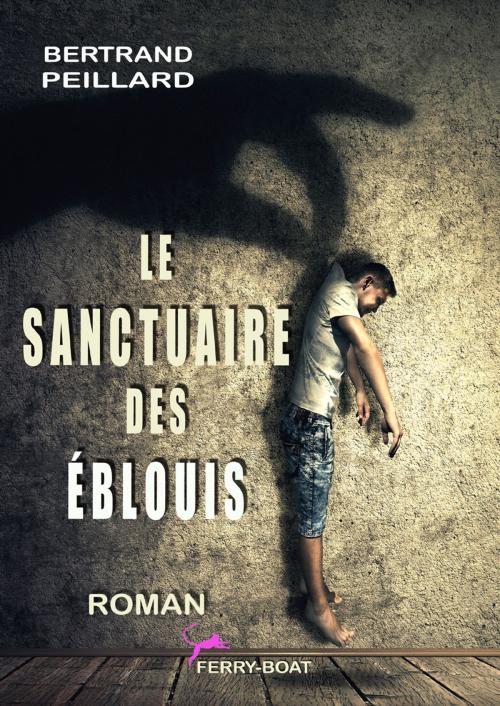 Cover of the book Le Sanctuaire des éblouis by bertrand PEILLARD, bertrand PEILLARD