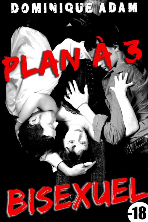 Cover of the book Plan A trois Bisexuel by Dominique Adam, Dominique Adam