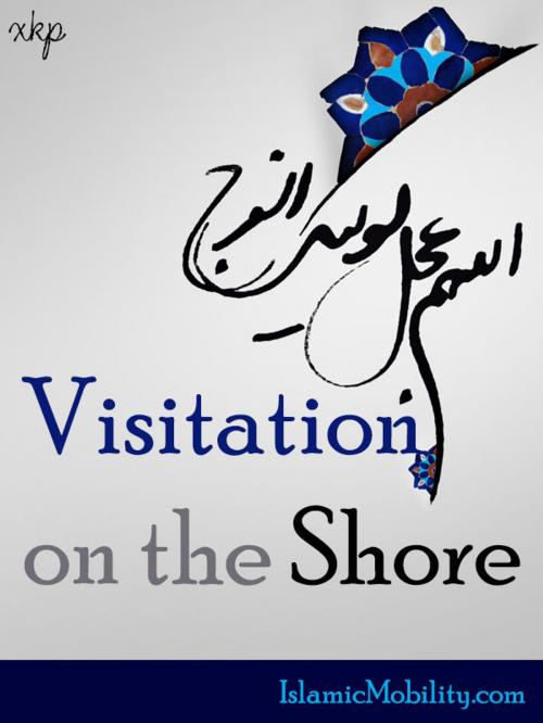 Cover of the book Visitation On The Shore by Allameh Muhammad Heydari, Allameh Muhammad Heydari