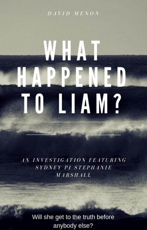 Cover of the book What Happened to Liam? by David Menon, Silver Springs Publishing