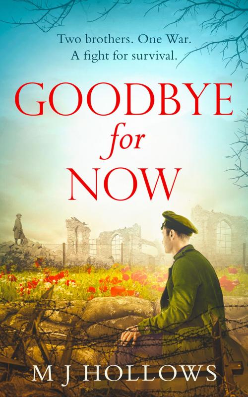 Cover of the book Goodbye for Now by M.J. Hollows, HarperCollins Publishers