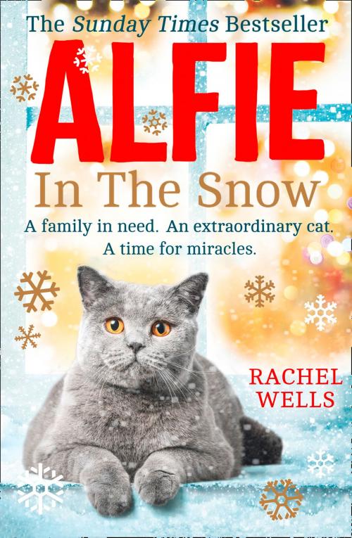 Cover of the book Alfie in the Snow by Rachel Wells, HarperCollins Publishers
