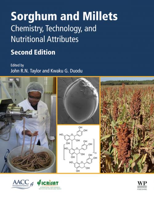 Cover of the book Sorghum and Millets by , Elsevier Science