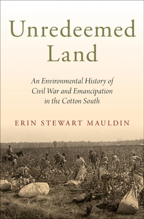 Cover of the book Unredeemed Land by Erin Stewart Mauldin, Oxford University Press