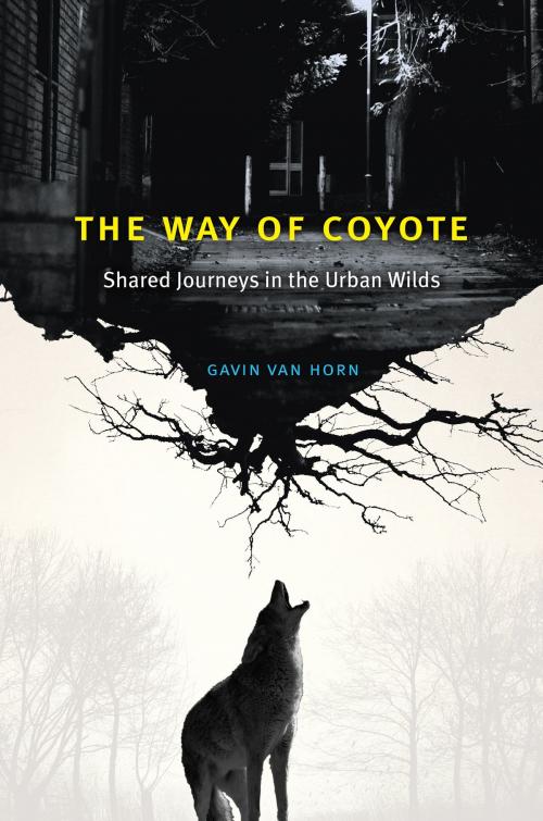 Cover of the book The Way of Coyote by Gavin Van Horn, University of Chicago Press