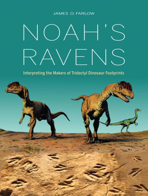 Cover of the book Noah's Ravens by James O Farlow, Indiana University Press