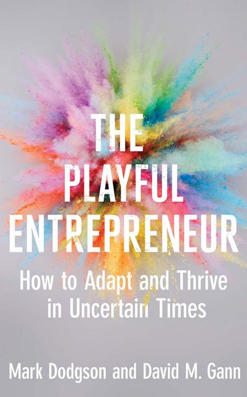Cover of the book The Playful Entrepreneur by Mark Dodgson, David M. Gann, Yale University Press