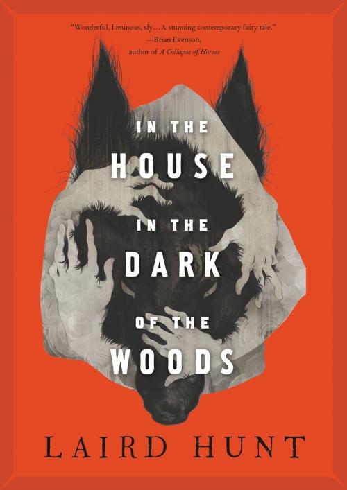 Cover of the book In the House in the Dark of the Woods by Laird Hunt, Little, Brown and Company